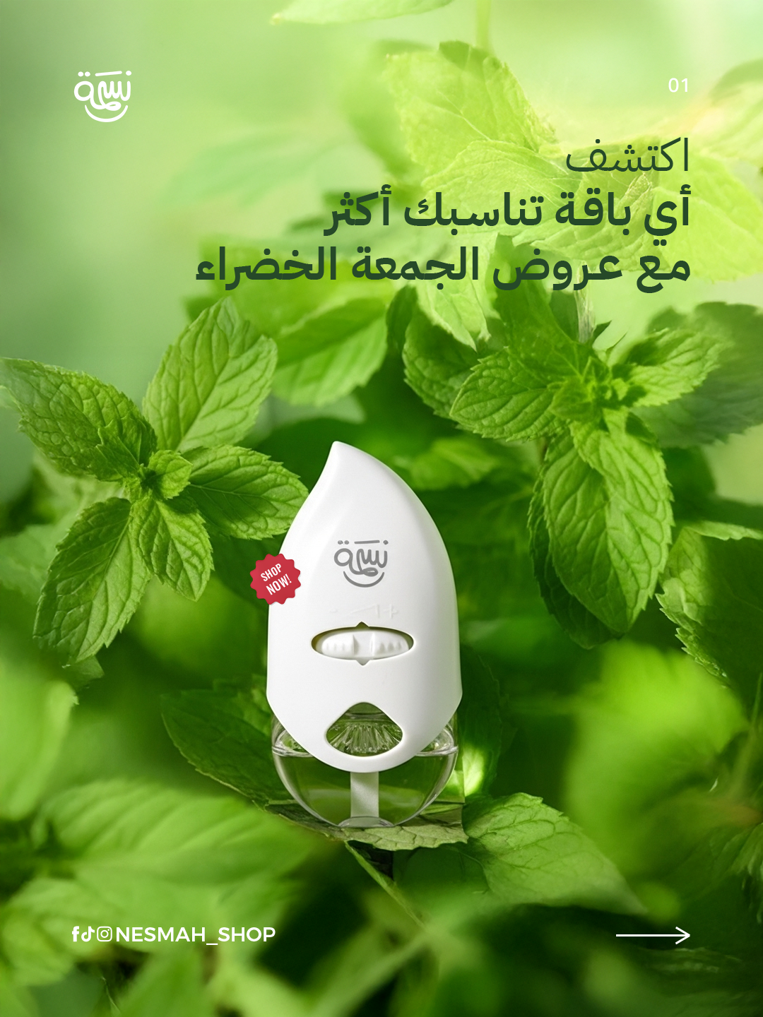 باقة الانتعاش (2 جهاز + 4 زيوت)